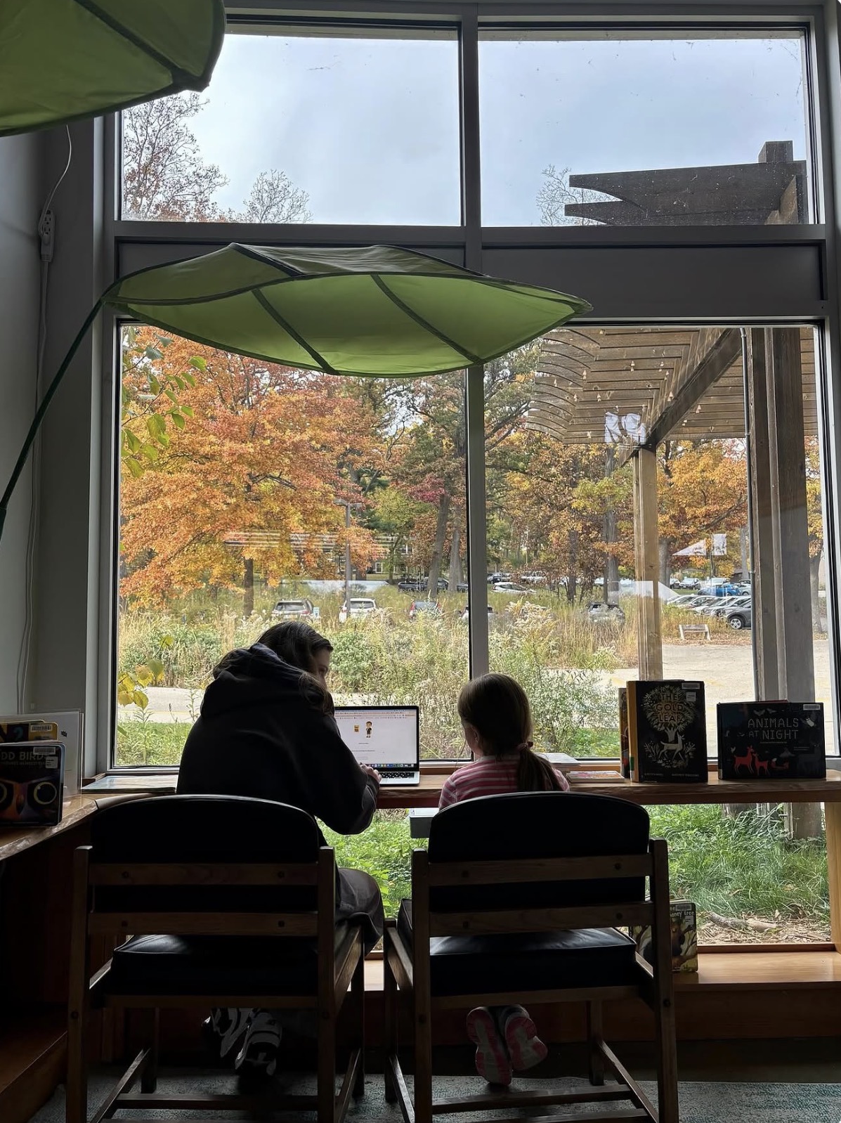 A Social and Moral Learning Lab member sits with a child at a laptop beside a large window overlooking colorful autumn trees at a community library.