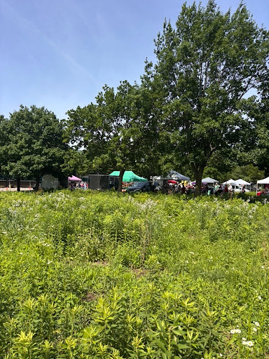 View of the Westside Farmers’ Market in Madison, featuring a grassy field with wildflowers, large leafy trees, and vendor tents in the background.